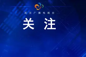 武汉集中开工100个重大项目，总投资1865.7亿元图片