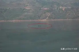 哲罗鲑可以长到多大？喀纳斯湖里真有10米以上的哲罗鲑吗？图片