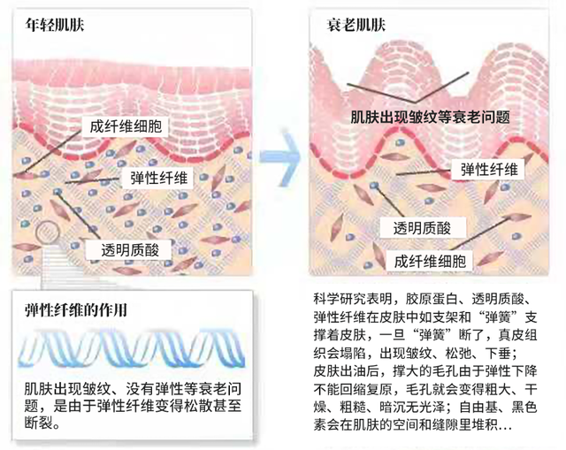 鑳跺師铔嬬櫧绌剁珶鏄€滄櫤鍟嗙◣鈥濊繕鏄編瀹瑰湥鍝侊紵鎴戜滑鐢ㄦ渶鏉冨▉鐨勮瘉鎹璇? onerror=