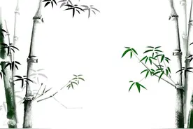 故事：人类少年进入玄天大陆，三兄弟结伴前往原始森林，岂料意外突发图片