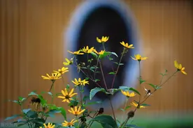 70岁大妈自述：住进养老院才明白，人老了，真正能依靠的是什么图片