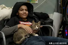 小伙将超市小猫偷偷抱走，却让自闭男孩失去唯一朋友，他也很爱猫图片