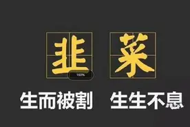 趣步、赞丽生活能否如期开盘图片