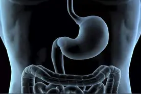 经常大吃大喝怎样消除油腻？全靠这些高膳食纤维食物图片