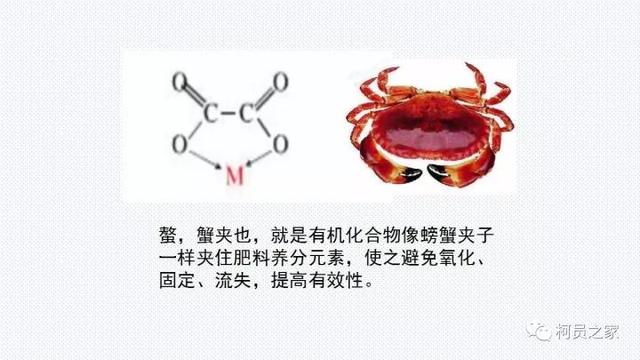 氨基酸、腐殖酸、黄腐酸都是什么东东？有啥用？