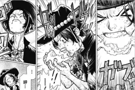 海贼王：两人吃下同一颗恶魔果实会怎样？烧烧果实给了答案图片