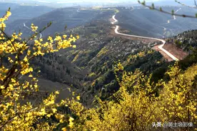 山西67岁光棍大叔和离婚弟弟深山搞养殖，年入十万元，看养的啥图片