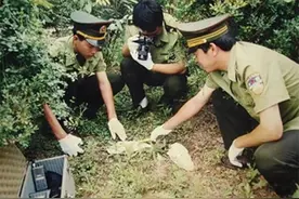 93年，保定一农妇在麦地里看到一头“死猪”，后牵出24具女性尸体图片
