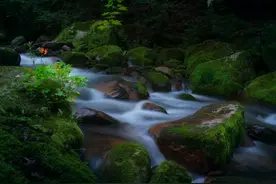 白山不白来——全域生态观光6日游图片