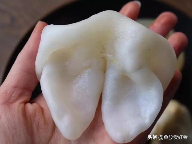 备孕期选什么花胶 备孕期选什么花胶最好