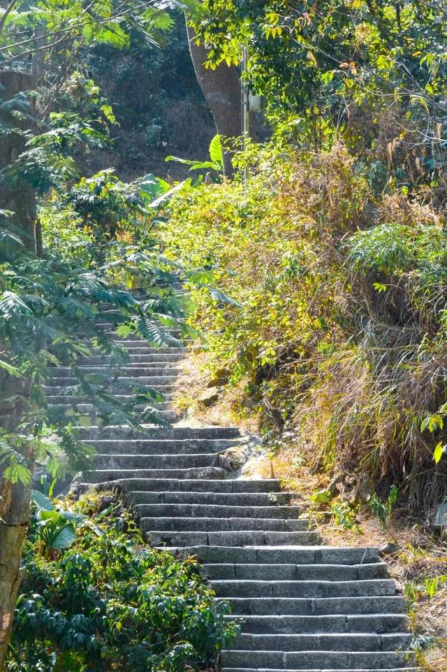深圳值得征服的10座山，你去过几座？