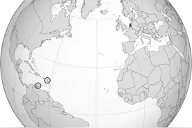 郁金香王国：荷兰图片