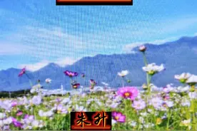 《教师生涯》26     三位老领导图片