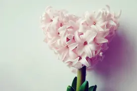 捐款帮助语该写哪些内容？记住这些不要重蹈我的覆辙图片