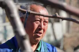 河南6旬老伯家几年没住的老院被邻居大妈私自当了菜园，听他咋说图片