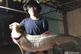 路亚米级翘嘴不是梦，从翘嘴的生活习性入手，助你早日实现图片