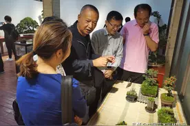 辛勤耕耘·匠心筑梦 云南首个盆景类“昆明工匠工作室”揭牌图片