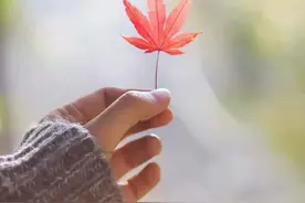 手控风壁纸，噜噜噜图片