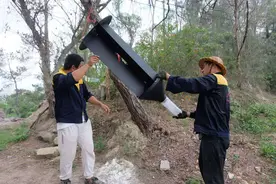 灵秀山森林公园上多了好几个“黑灯笼”？是松墨天牛诱捕器！市民勿碰图片