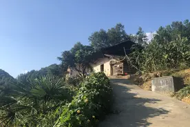 70岁儿子陪103岁母亲住大山里，每天必做一件事，老人有两大爱好图片