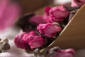 中药之花类入药图片