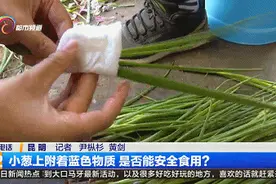 小葱竟然擦出了蓝色！喷了什么东西？能吃吗？图片