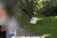 孩子违规投喂动物，要先管住“不懂事”的大人图片