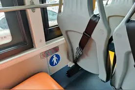 南宁公交车成了老年人免费出行的专车了吗？图片