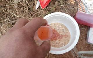 钓鱼小药使用手册（搭配技巧+27种常用小药用法）