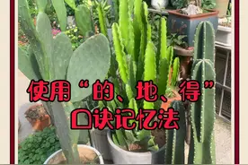 茹老师聊六年级语文第二部分——汉字（汉字总复习第三课）图片