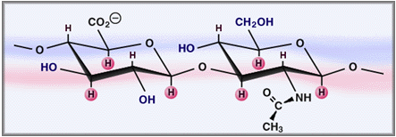 鐜诲翱閰革紝閫忔槑璐ㄩ吀锛岀幓鐠冮吀