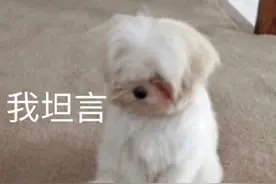 【多图警告】表情包||你根本不爱我，你只是看上了我的表情包图片