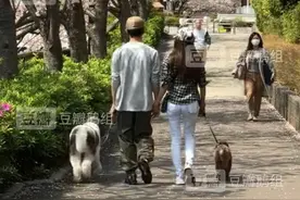 木村拓哉和工藤静香外出依旧手牵手走路，静香比佐佐木希幸福太多图片