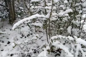 村民委员会成员一个月到底应该拿多少工资？听听村民怎么说图片