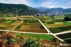 农村的土地是国家的吗？国家要收回土地农民怎么办？图片