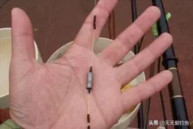 钓鱼秘籍：大跑铅、小跑铅、飞铅钓、双铅钓，这些钓法是咋回事？图片