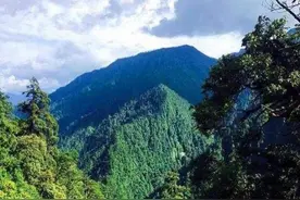 3万多名远征军败走野人山，三千人活着走出来，仅她一个女的图片