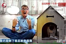 外国男人真的喜欢中国女人吗？图片