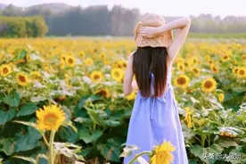 头发留不住，体毛去不了。2020夏季的脱毛攻略奉上图片