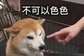 抖音邓伦骗过98w女友？直播掉滤镜，秒成宋小宝…图片