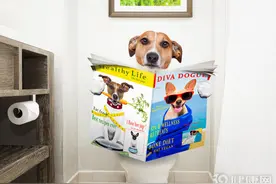 一般情况下，男人是站着尿尿，蹲着尿尿不好吗？听听医生的回答图片