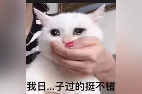 HiFi烧友假期在家被嫌弃的全程自述（家长慎点）图片