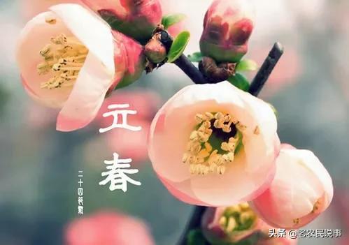 躲春是怎么躲的（立春将至）