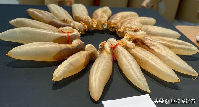 花胶浸泡时间短有影响吗 2025年花胶浸泡时间短有影响吗视频