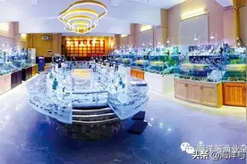 养龟达人袁金标：探索金钱龟的“宠养之路”图片