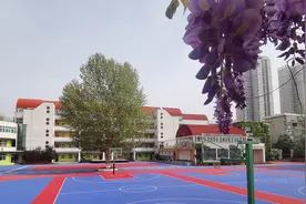 你知道的西安十大名牌小学都有谁？（第二期）图片