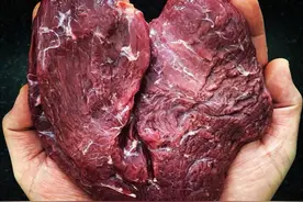 吃鸵鸟肉的人不多，为啥还那么多人养？原来还有这些用途图片