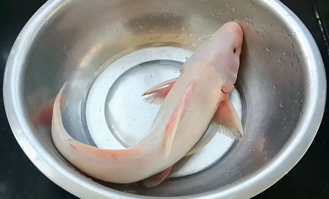 回鱼的鱼鳞怎么去掉
