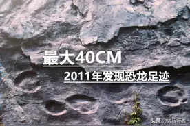 2011年，这里首次出现恐龙生活在北京的证据，最大脚印长40厘米图片