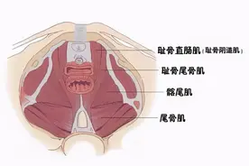 产后修复有必要做吗？图片
